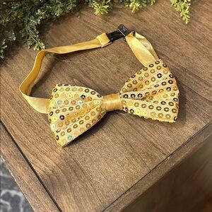 Gold Sequin Bow neck tie